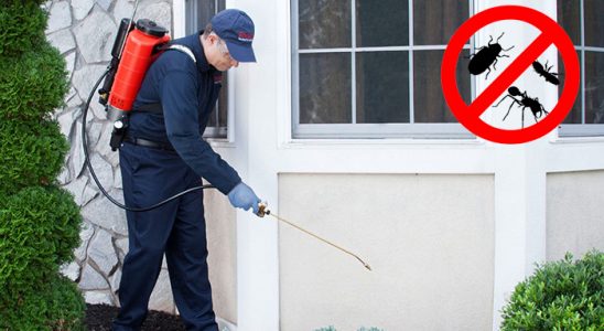 Senirkent Hamam Böceği İlaçlama böcek ilaçlama ve haşere kontrolü — ilaclama-tr.com